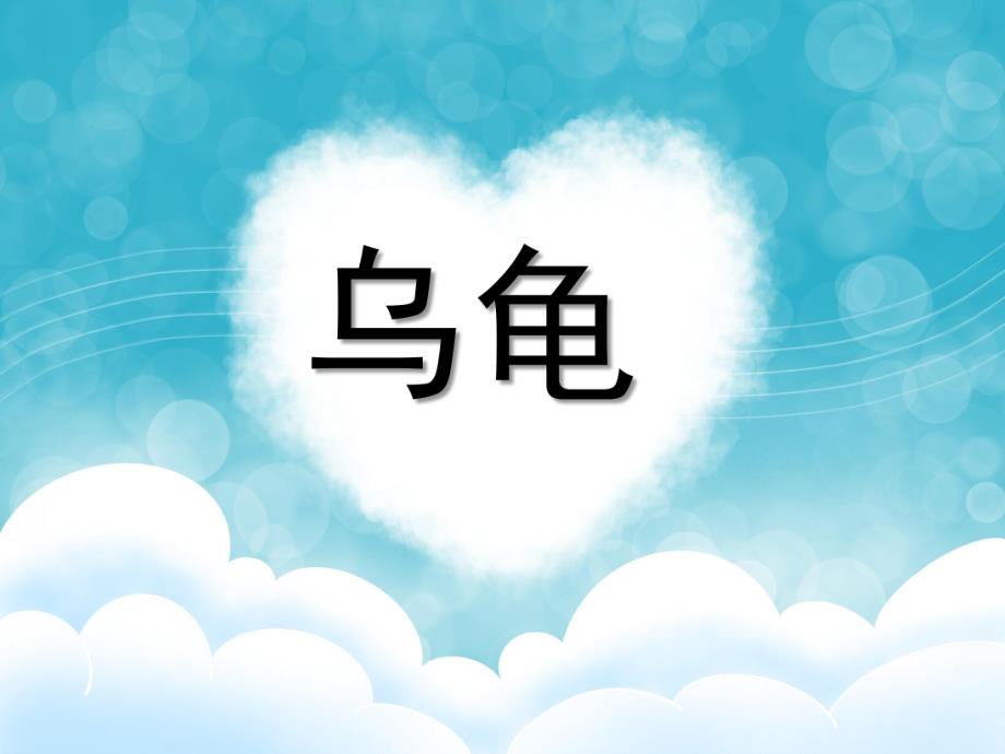 中班美术《乌龟》PPT课件教案美术：乌龟.pptx_第1页