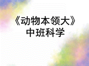 中班科学《动物本领大》PPT课件教案《动物本领大》.pptx