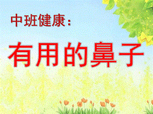 中班健康《有用的鼻子》PPT课件教案中班健康《有用的鼻子》.pptx