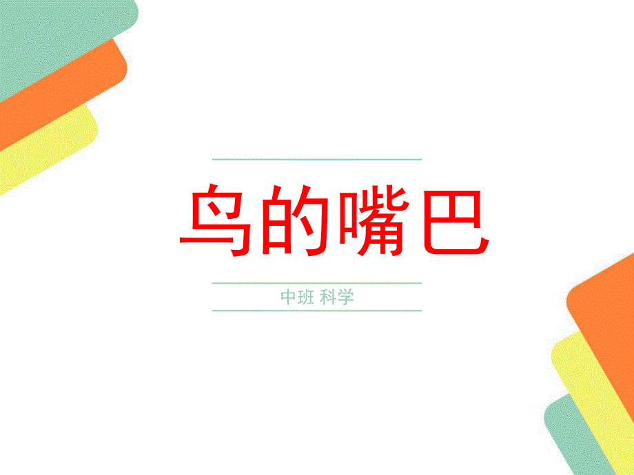 中班科学《小鸟的嘴巴》PPT课件中班科学-鸟的嘴巴.pptx_第1页