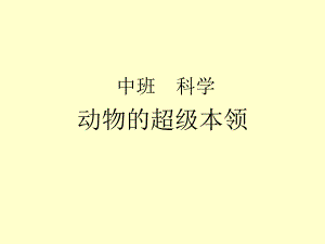 U405-中班科学《动物的超级本领》PPT课件.pptx