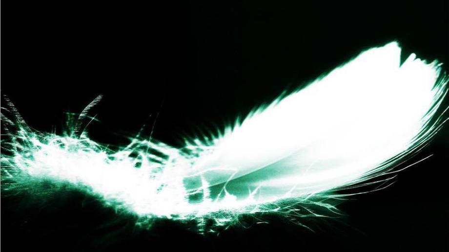 中班科学《落下来》PPT课件教案大班科学活动课件落下来PPT.pptx_第2页