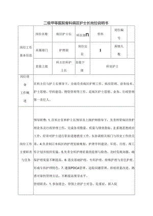 二级甲等医院骨科病区护士长岗位说明书.docx