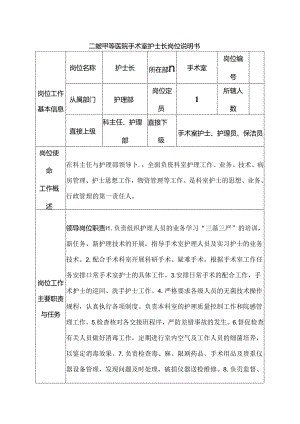 二级甲等医院手术室护士长岗位说明书.docx