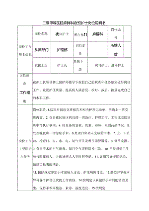 二级甲等医院麻醉科夜班护士岗位说明书.docx