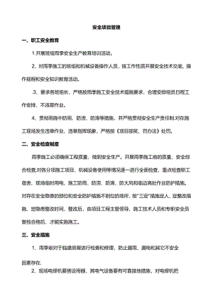 安全项目管理.docx