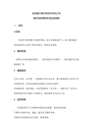 锅炉突发事故专项应急预案.docx