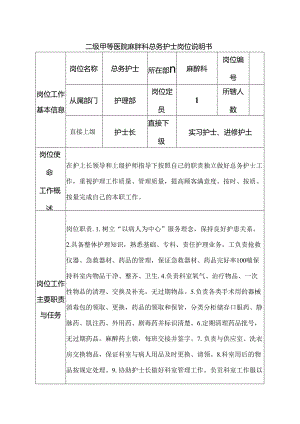 二级甲等医院麻醉科总务护士岗位说明书.docx
