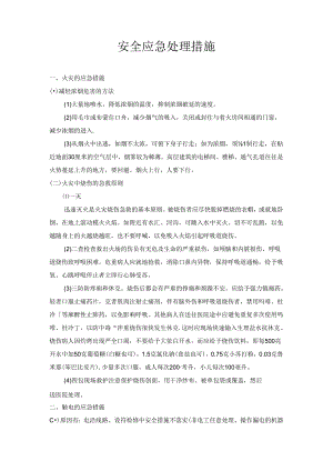 20安全应急处理措施.docx