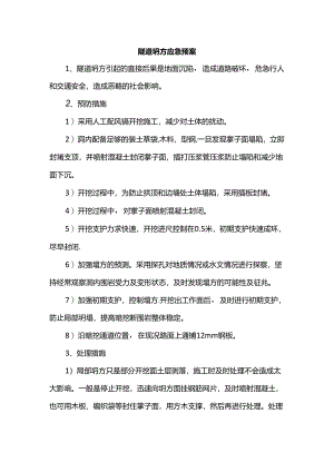 隧道坍方应急预案.docx