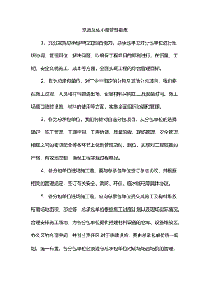 现场总体协调管理措施.docx