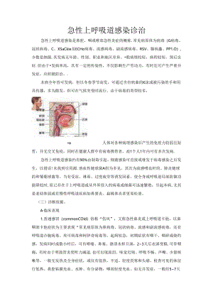 急性上呼吸道感染.docx