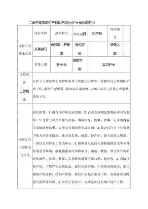 二级甲等医院妇产科助产师（士）护士岗位说明书.docx