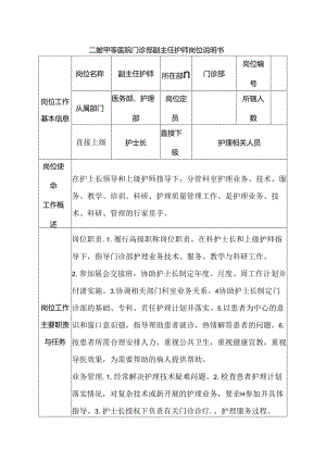 二级甲等医院门诊部副主任护师岗位说明书.docx