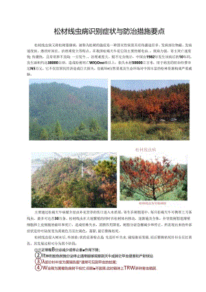 松材线虫病识别症状与防治措施要点0.docx
