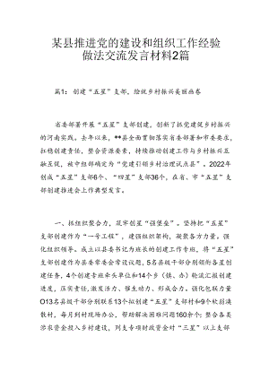 某县推进党的建设和组织工作经验做法交流发言材料2篇.docx