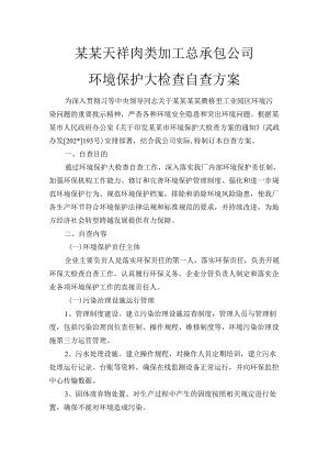 环境保护大检查方案.docx