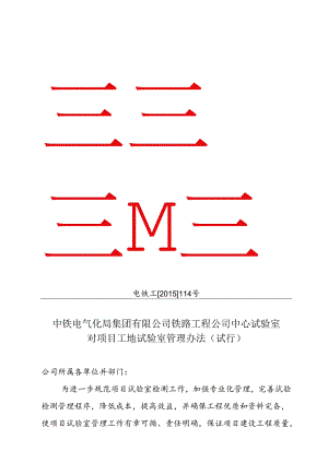 中心试验室对项目工地试验室管理办法（试行）.docx