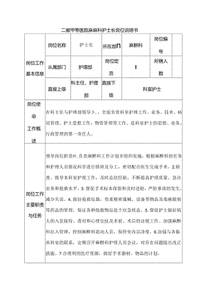 二级甲等医院麻醉科护士长岗位说明书.docx