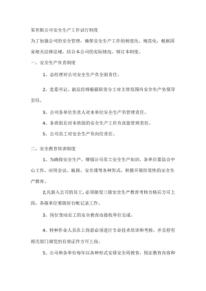 某有限公司安全生产工作试行制度.docx