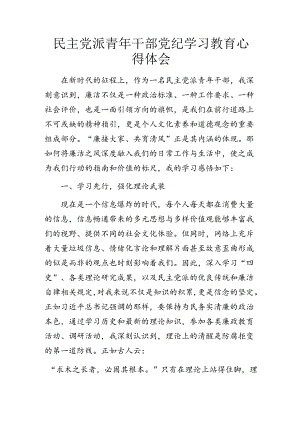 青年干部党纪学习教育心得体会.docx