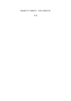 新能源汽车专题研究：风险与挑战分析.docx