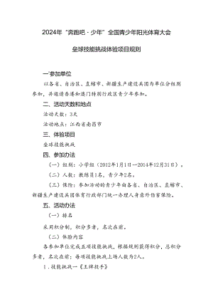 2024年“奔跑吧·少年”全国青少年阳光体育大会垒球体验项目规则.docx