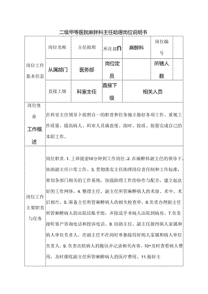 二级甲等医院麻醉科主任助理岗位说明书.docx