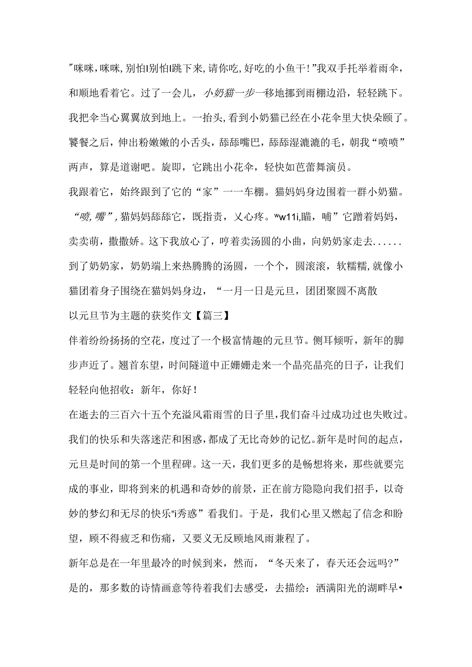 以元旦节为主题的获奖作文范文.docx_第3页