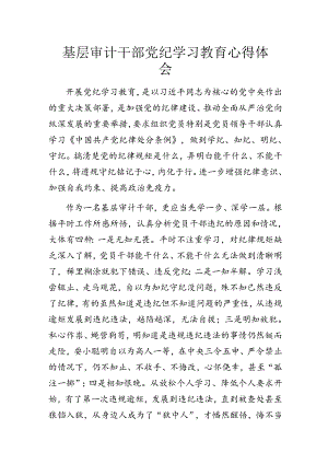 基层审计干部党纪学习教育心得体会.docx