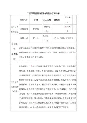二级甲等医院麻醉科护师岗位说明书.docx