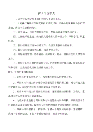 护士岗位职责.docx