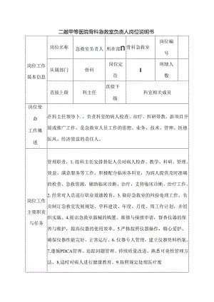 二级甲等医院骨科急救室负责人岗位说明书.docx