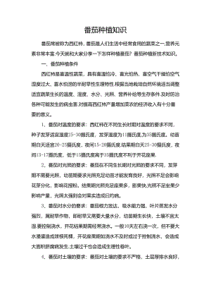 番茄种植知识.docx