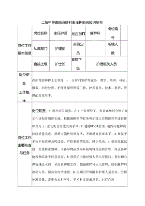 二级甲等医院麻醉科主任护师岗位说明书.docx