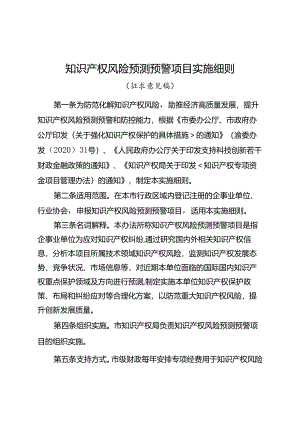 知识产权风险预测预警项目实施细则.docx