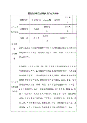 医院急诊科治疗班护士岗位说明书.docx