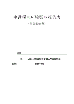文昌东郊椰正道椰子加工专业合作社椰子油生产项目环评报告表.docx