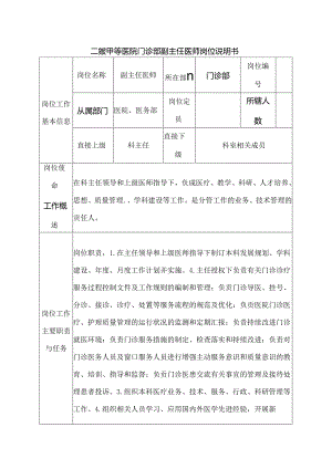 二级甲等医院门诊部副主任医师岗位说明书.docx