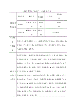 二级甲等医院门诊部护士长岗位说明书.docx