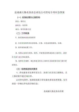 供电专项应急预案.docx