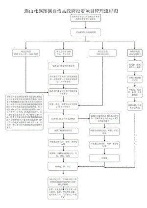 政府投资项目管理流程图.docx