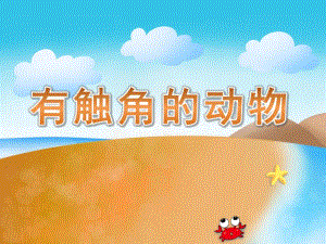 大班科学《有触角的动物》PPT课件有触角的动物.pptx