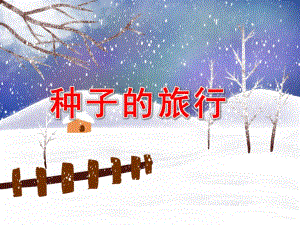 大班科学优质课《种子的旅行》PPT课件教案大班科学《种子的旅行》课件.pptx