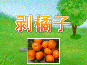 小班科学《剥橘子》PPT课件教案PPT课件.pptx