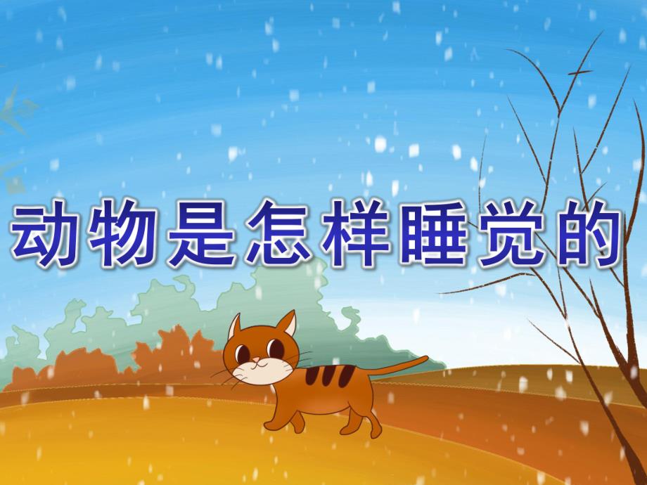 大班科学《动物是怎样睡觉的》PPT课件教案小动物是怎样睡觉的.pptx_第1页