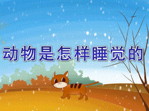 大班科学《动物是怎样睡觉的》PPT课件教案小动物是怎样睡觉的.pptx