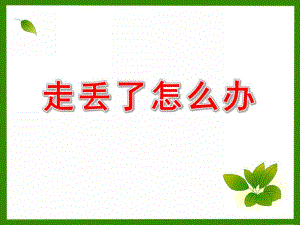 小班安全教育《走丢了怎么办》PPT课件教案走丢了-怎么办-.pptx