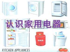 小班社会《认识家用电器》PPT课件教案科学：认识家用电器.pptx
