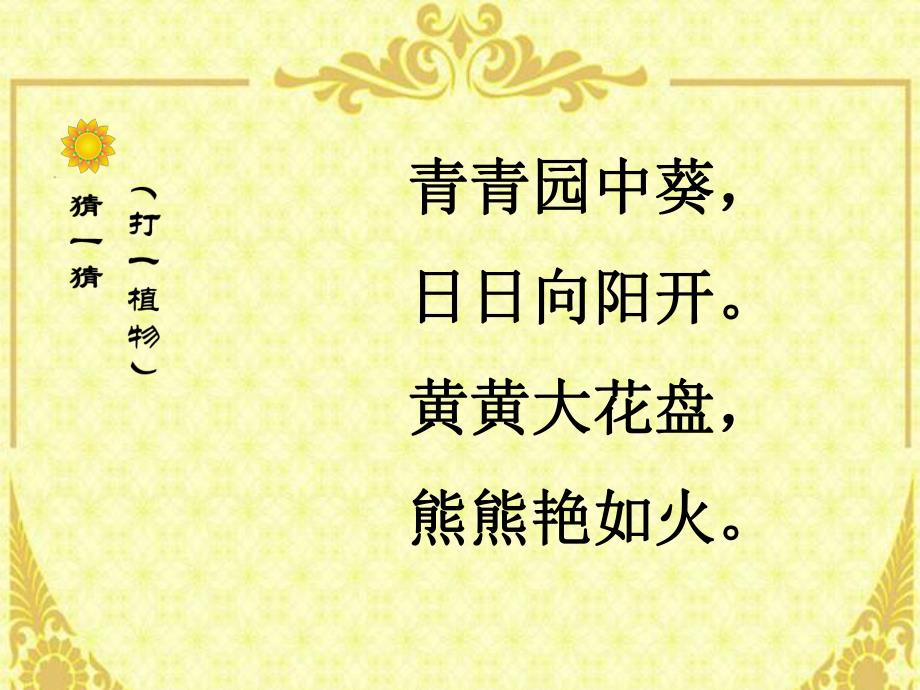 大班美术活动《向日葵》PPT课件教案大班美术向日葵.pptx_第2页